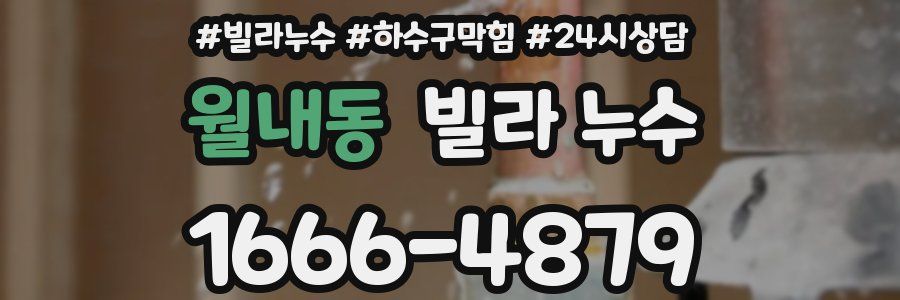 월내동 빌라 누수