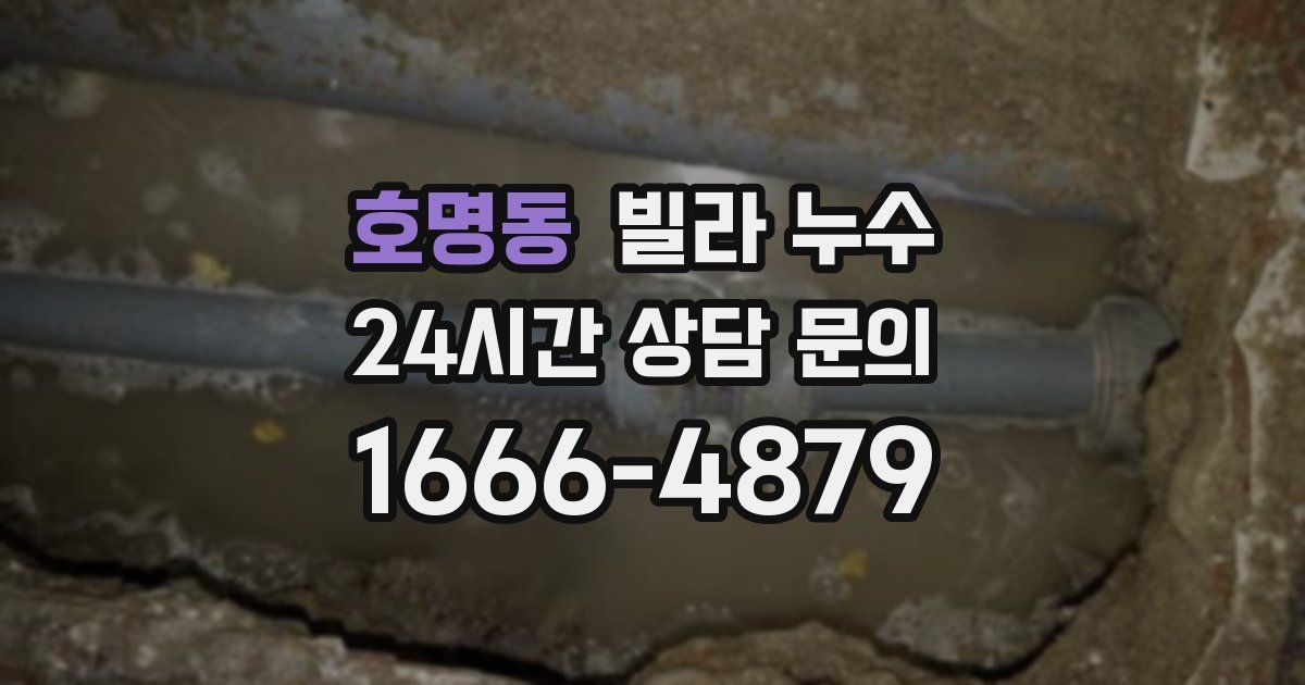 호명동 빌라 누수