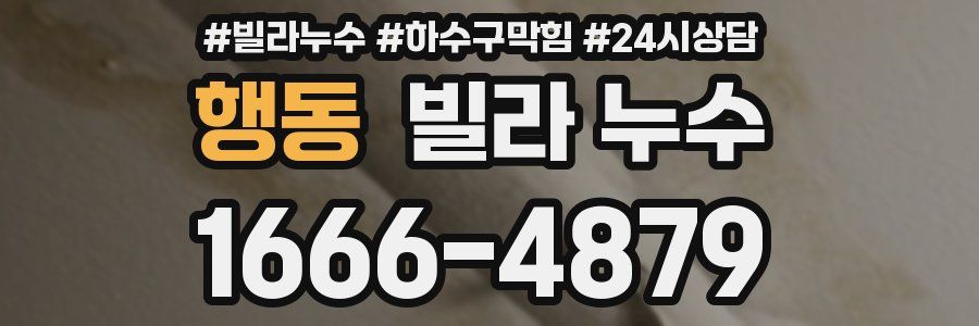 행동 빌라 누수