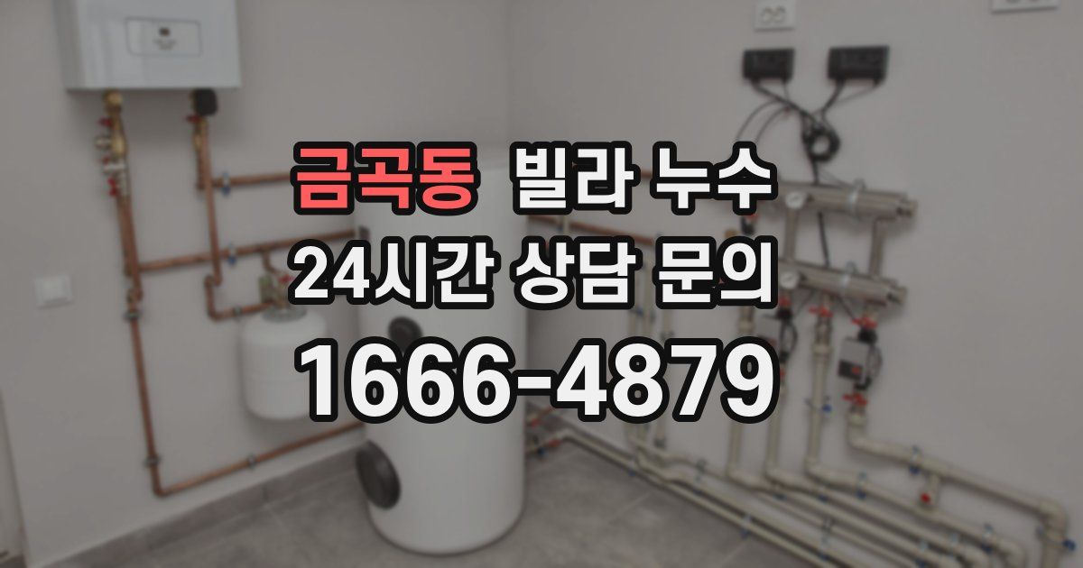 금곡동 빌라 누수