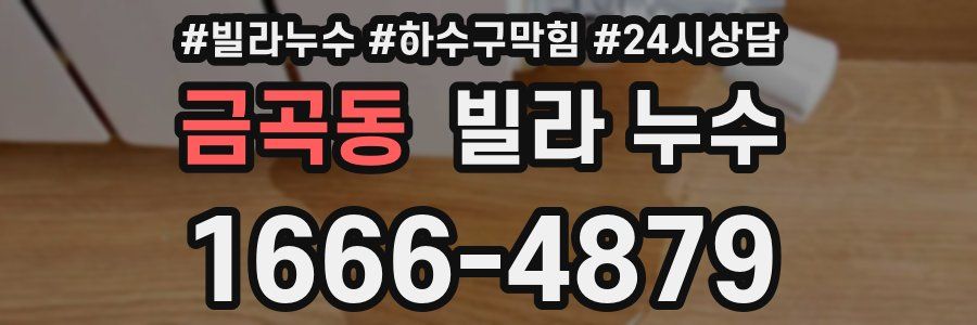 금곡동 빌라 누수