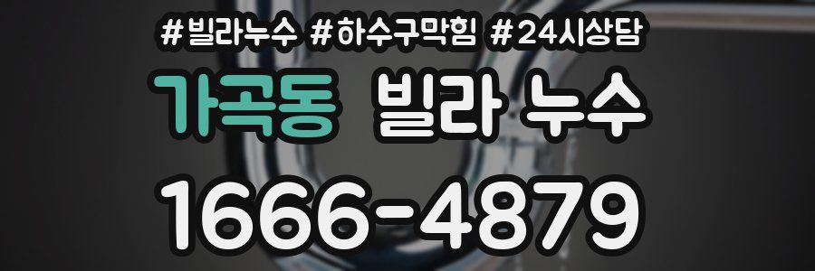 가곡동 빌라 누수