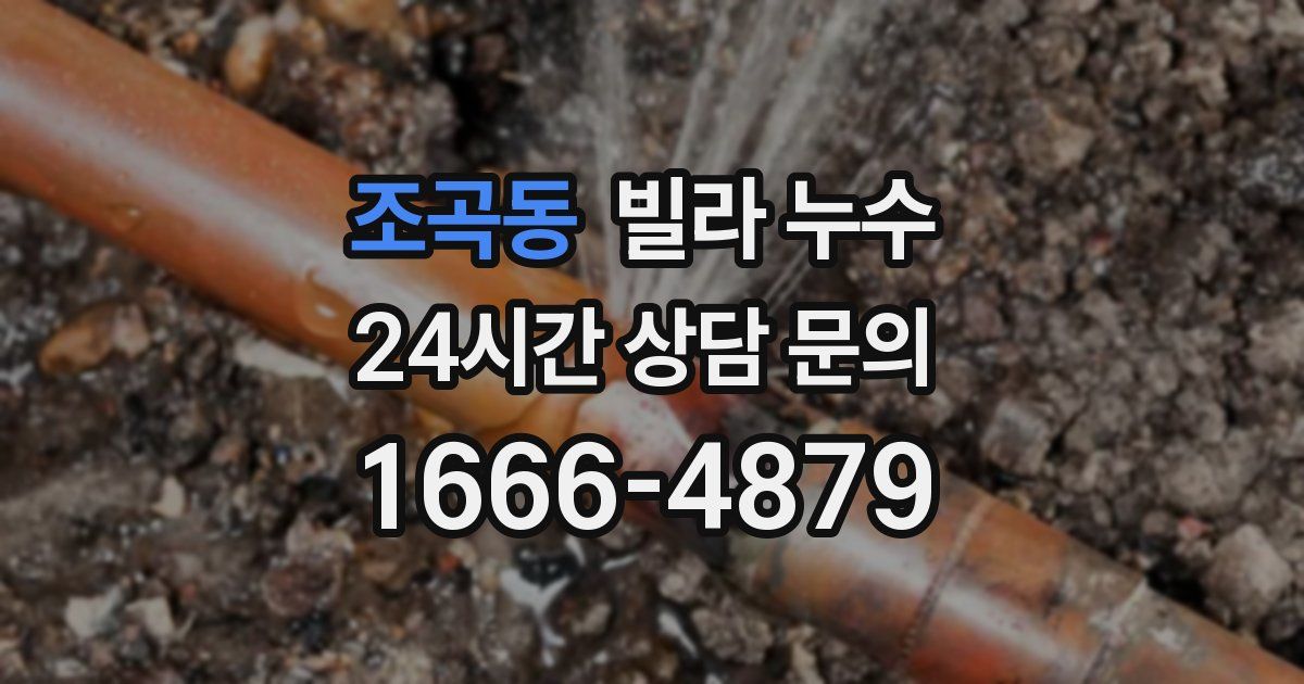 조곡동 빌라 누수