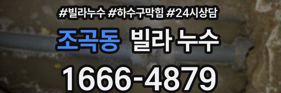 조곡동 빌라 누수