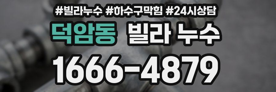 덕암동 빌라 누수