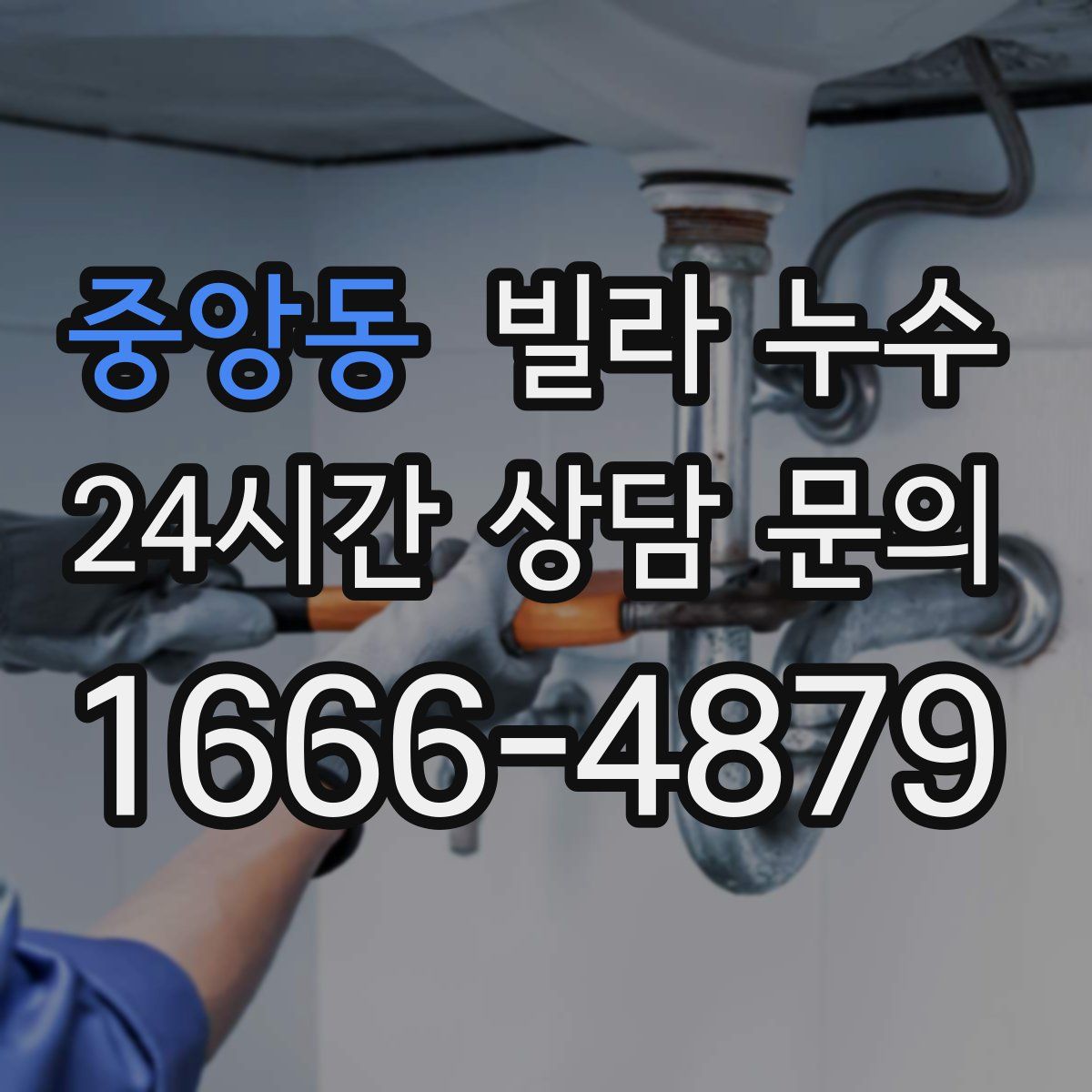 중앙동 빌라 누수