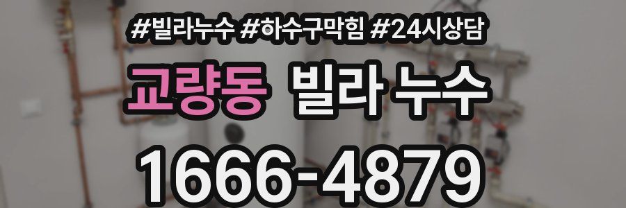 교량동 빌라 누수