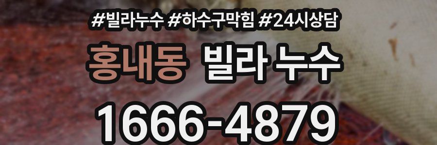 홍내동 빌라 누수