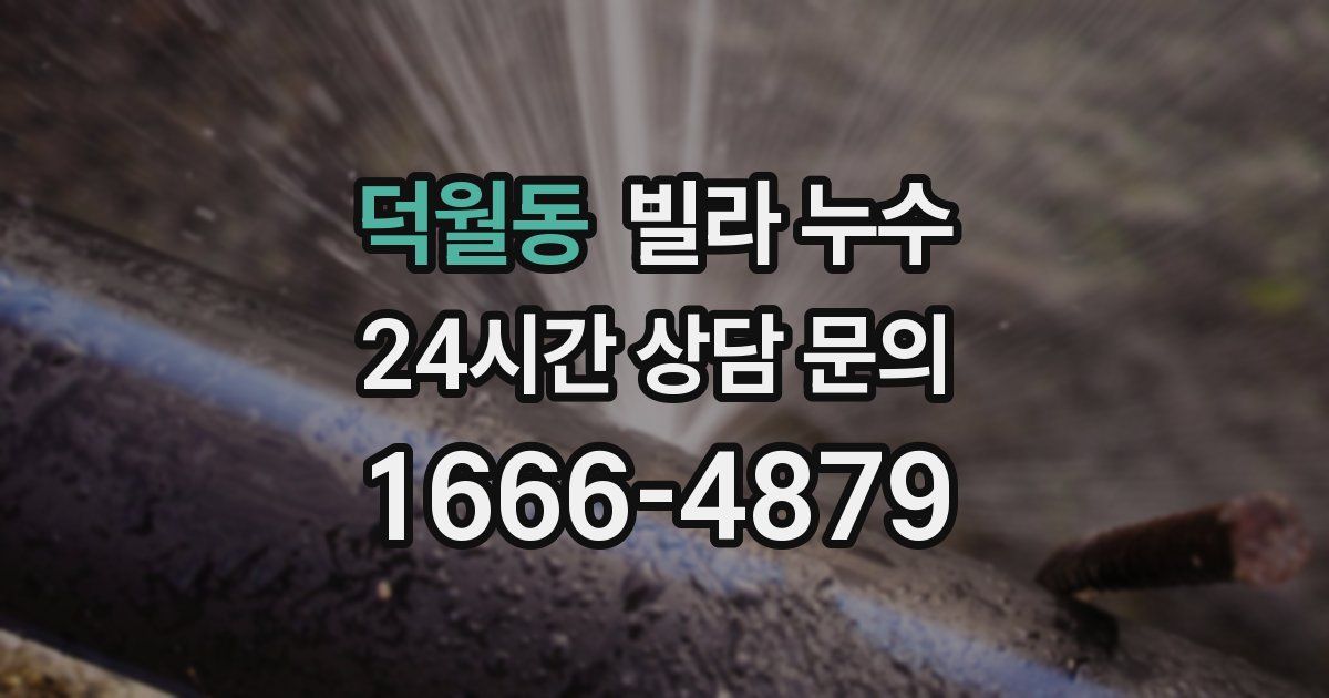 덕월동 빌라 누수