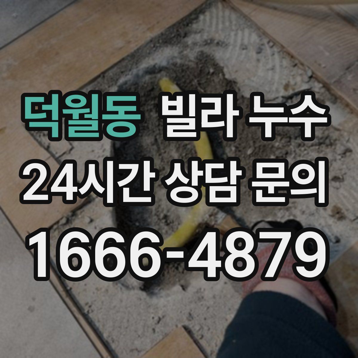 덕월동 빌라 누수