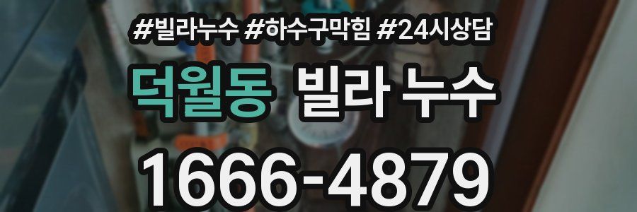 덕월동 빌라 누수