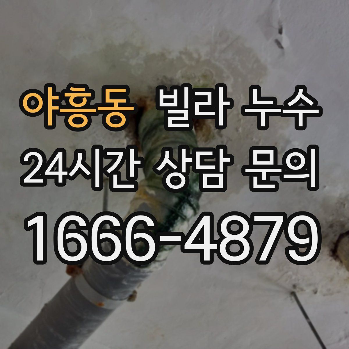 야흥동 빌라 누수