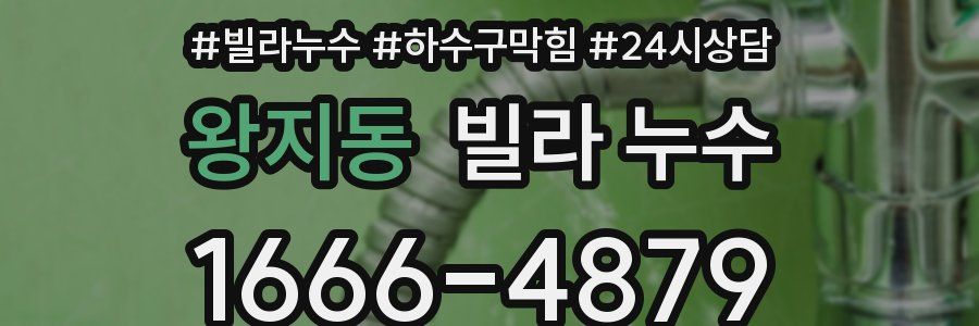 왕지동 빌라 누수