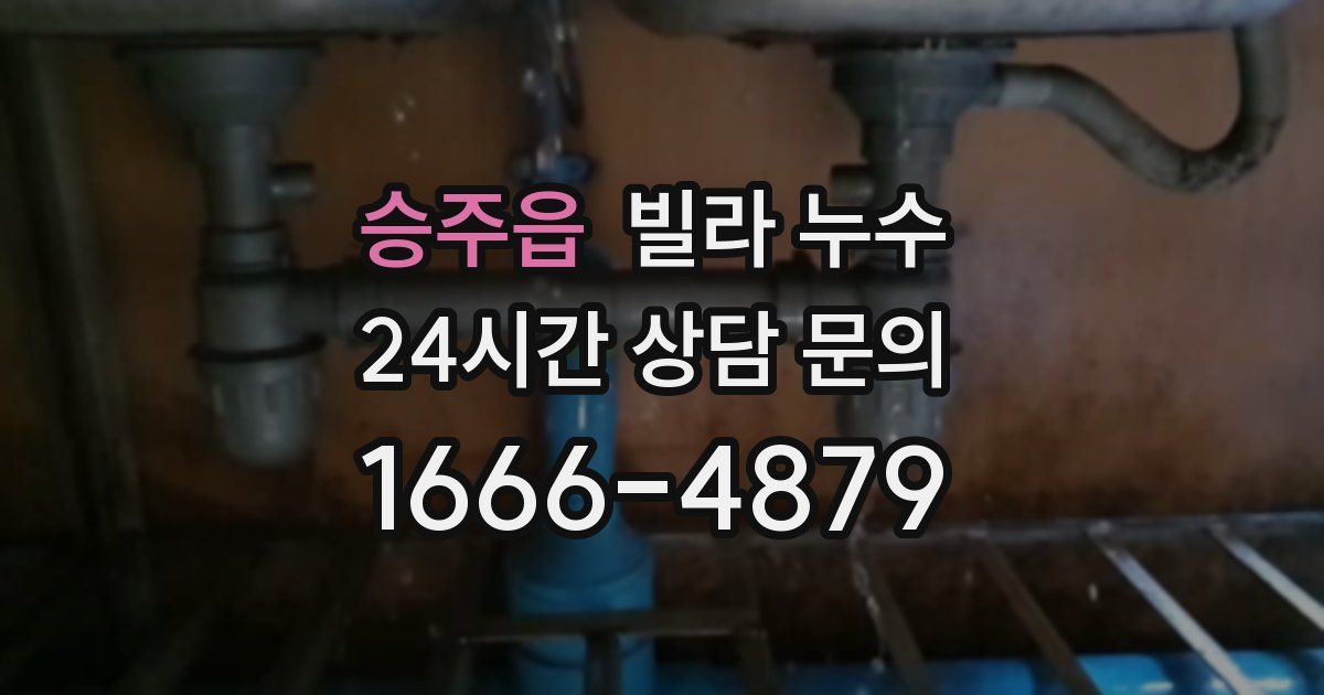 승주읍 빌라 누수