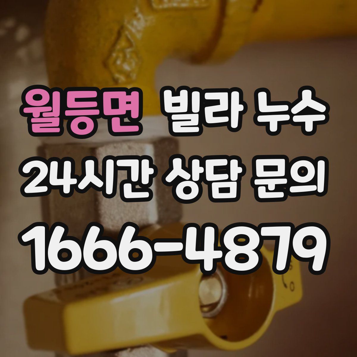 월등면 빌라 누수