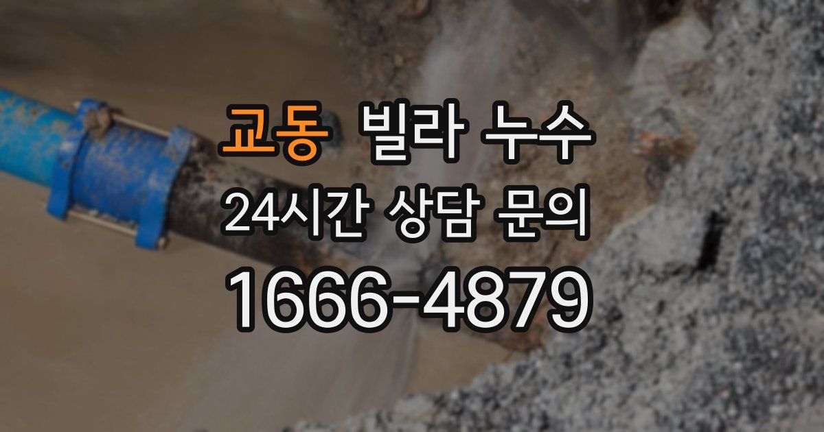 교동 빌라 누수