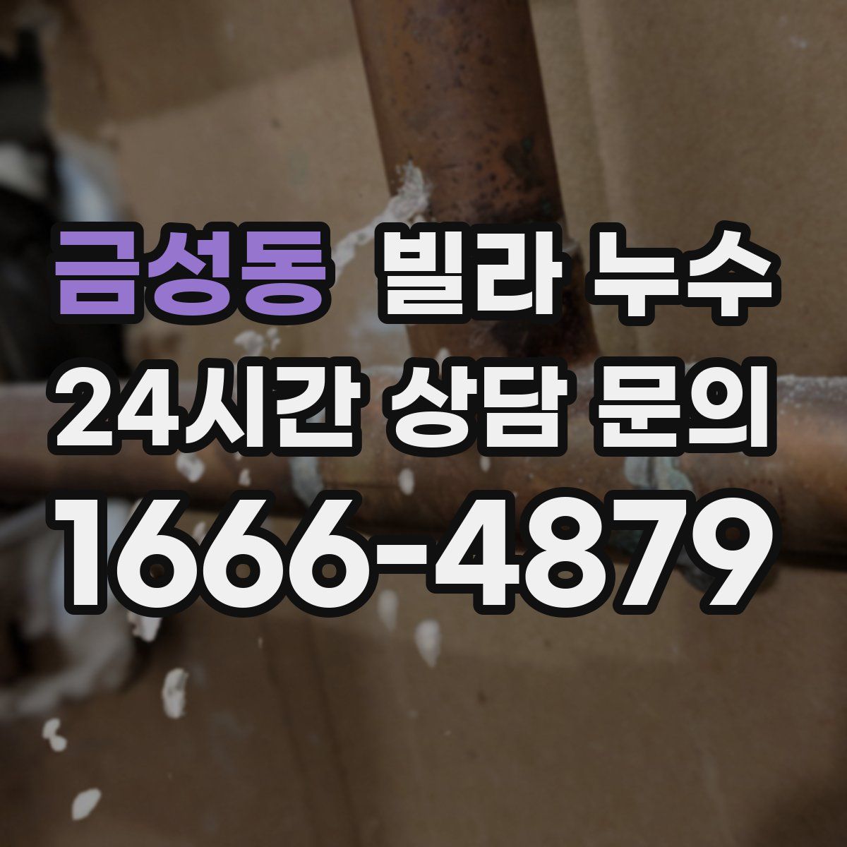 금성동 빌라 누수