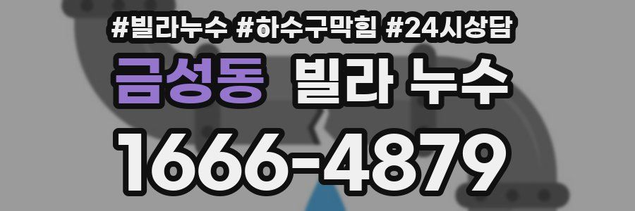 금성동 빌라 누수