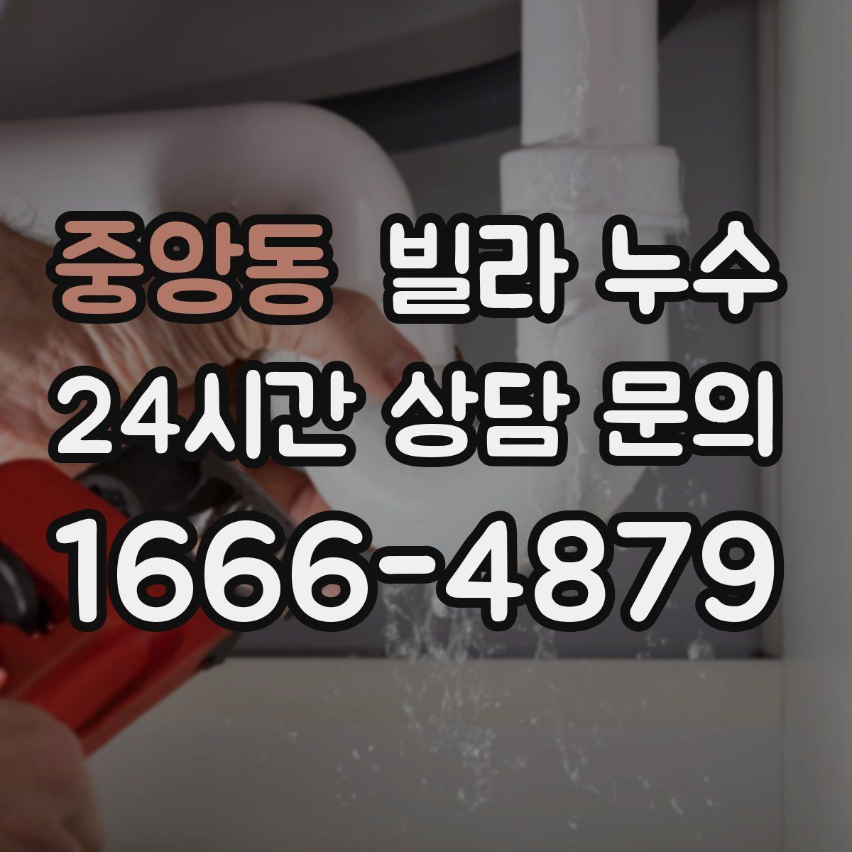 중앙동 빌라 누수