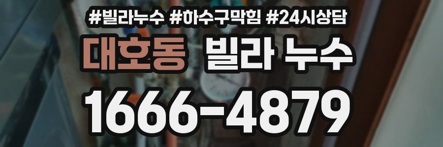 대호동 빌라 누수