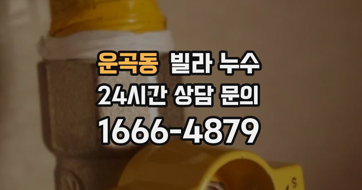 운곡동 빌라 누수