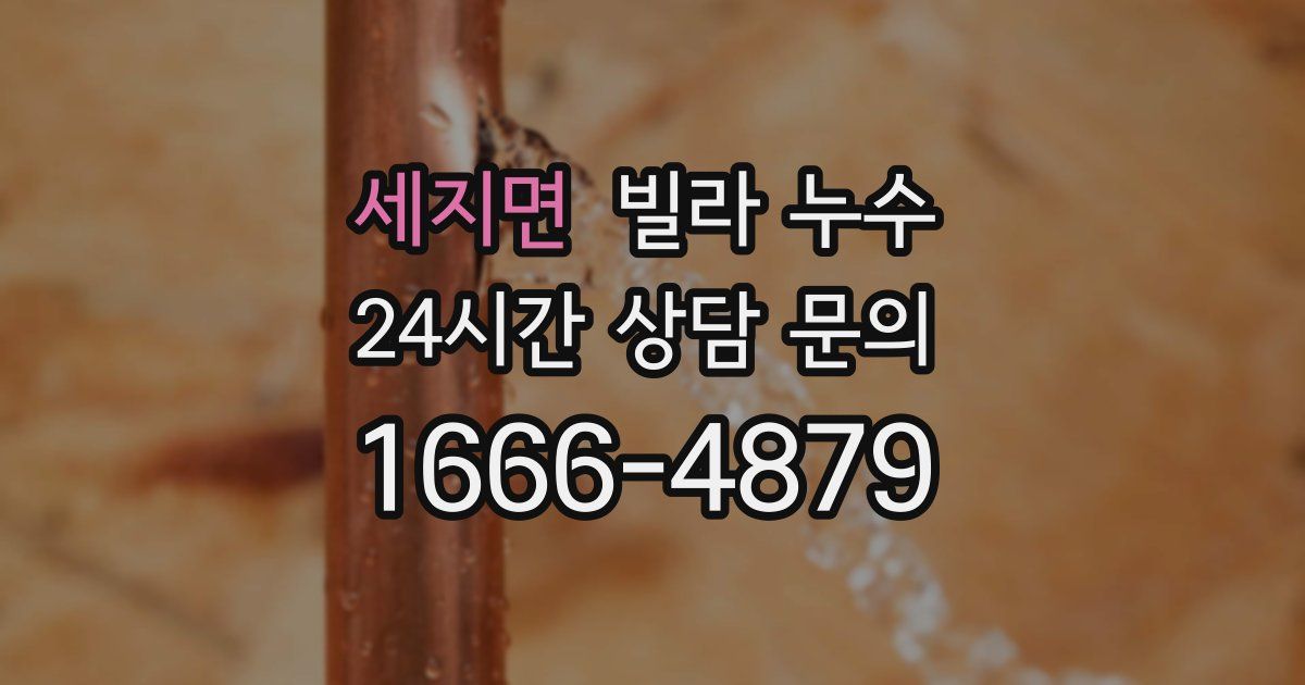 세지면 빌라 누수