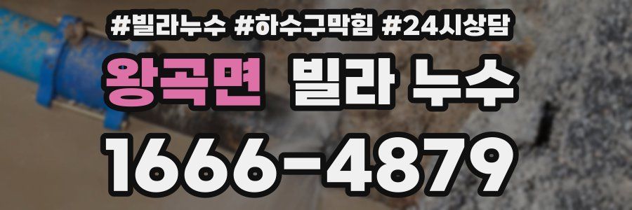 왕곡면 빌라 누수