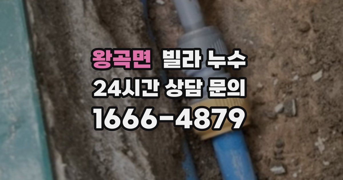 왕곡면 빌라 누수