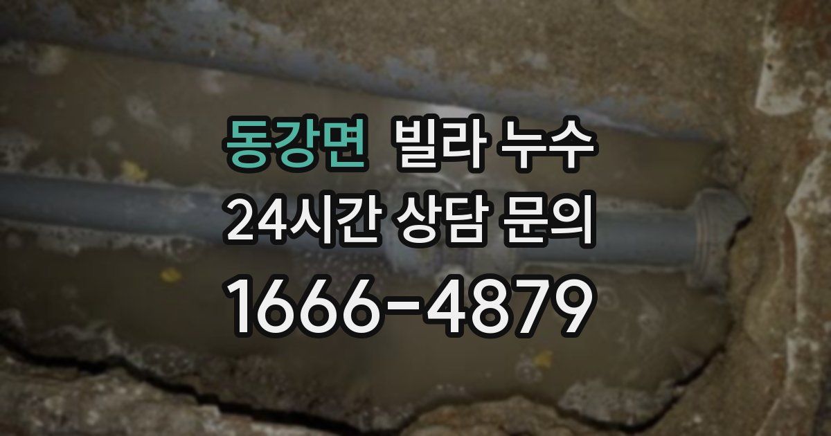 동강면 빌라 누수