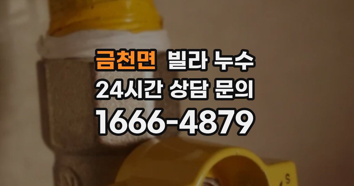 금천면 빌라 누수