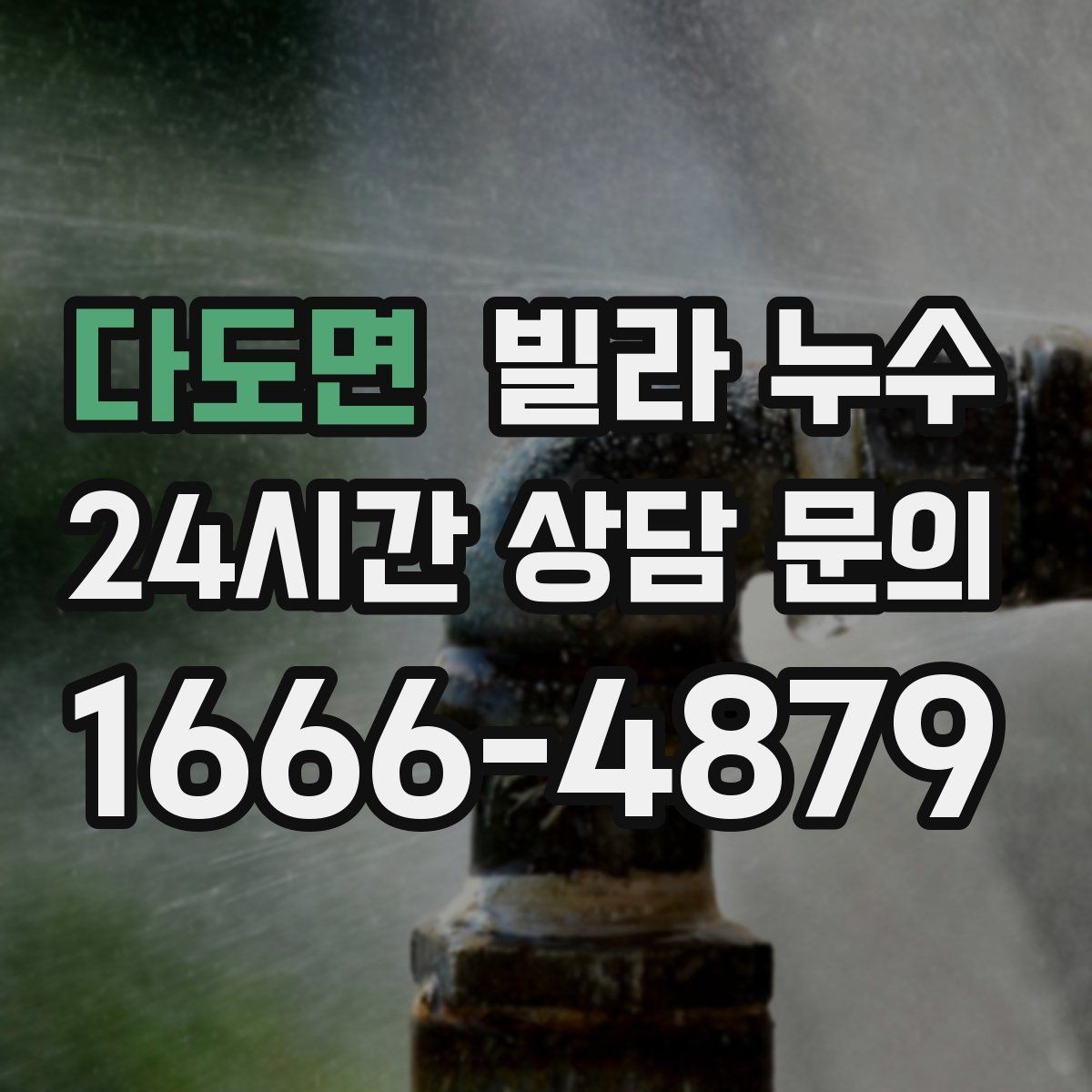 다도면 빌라 누수 벽 뒤편 곰팡이가 반복되면 누수 의심