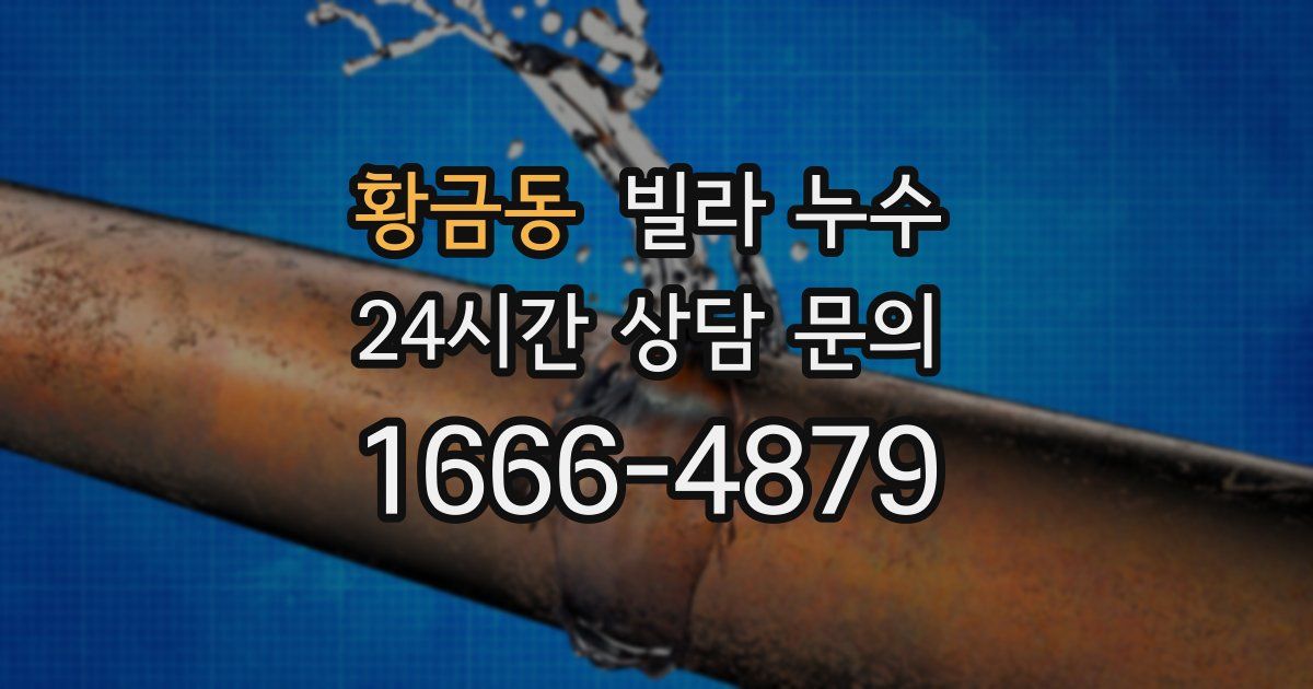 황금동 빌라 누수