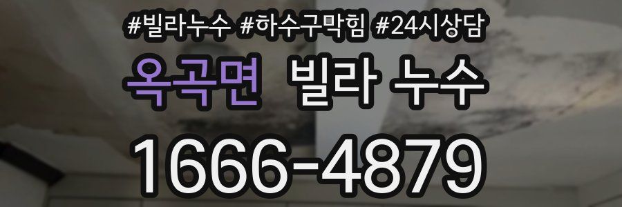 옥곡면 빌라 누수