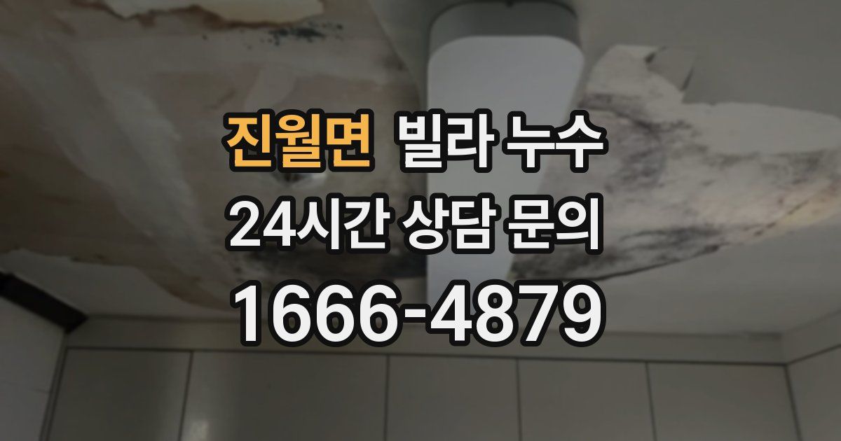 진월면 빌라 누수