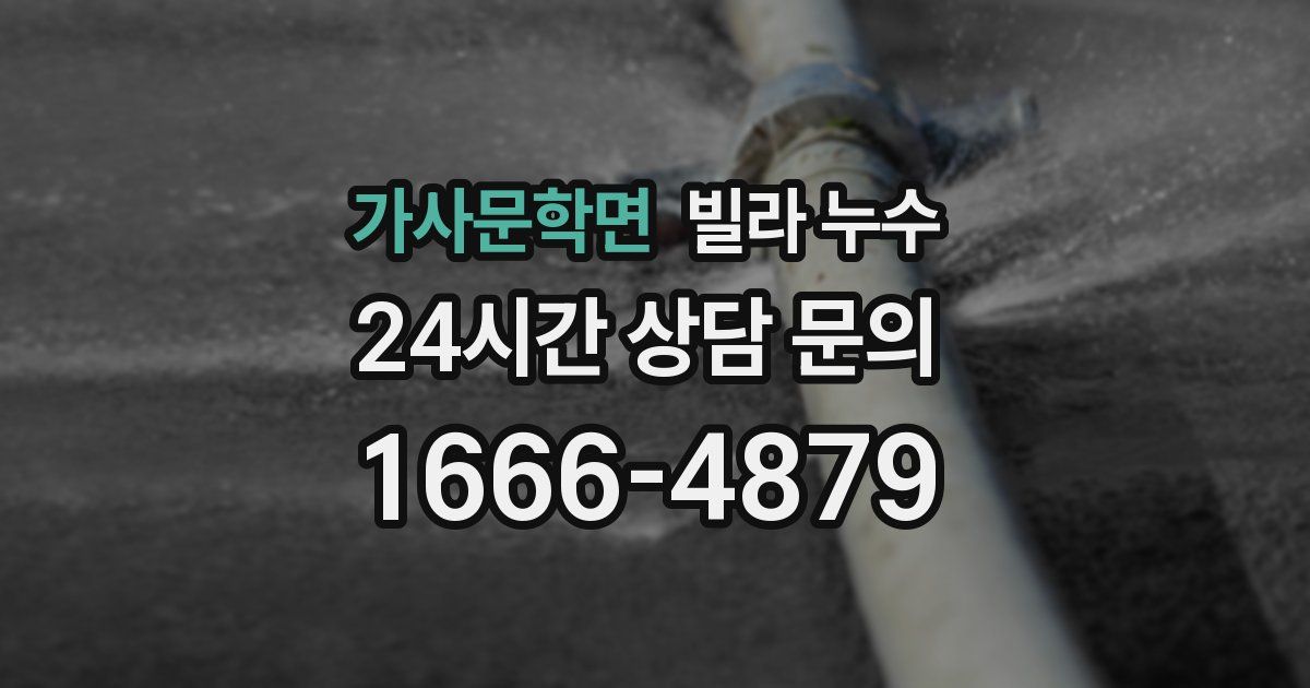 가사문학면 빌라 누수