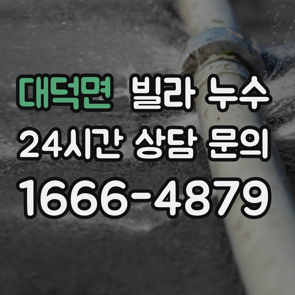 대덕면 빌라 누수