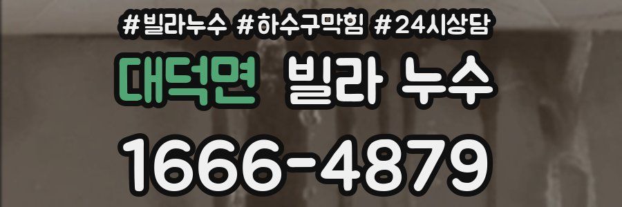 대덕면 빌라 누수