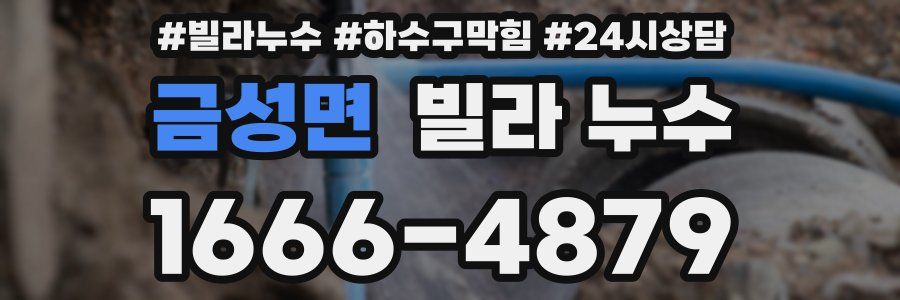 금성면 빌라 누수