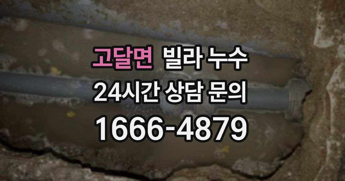 고달면 빌라 누수