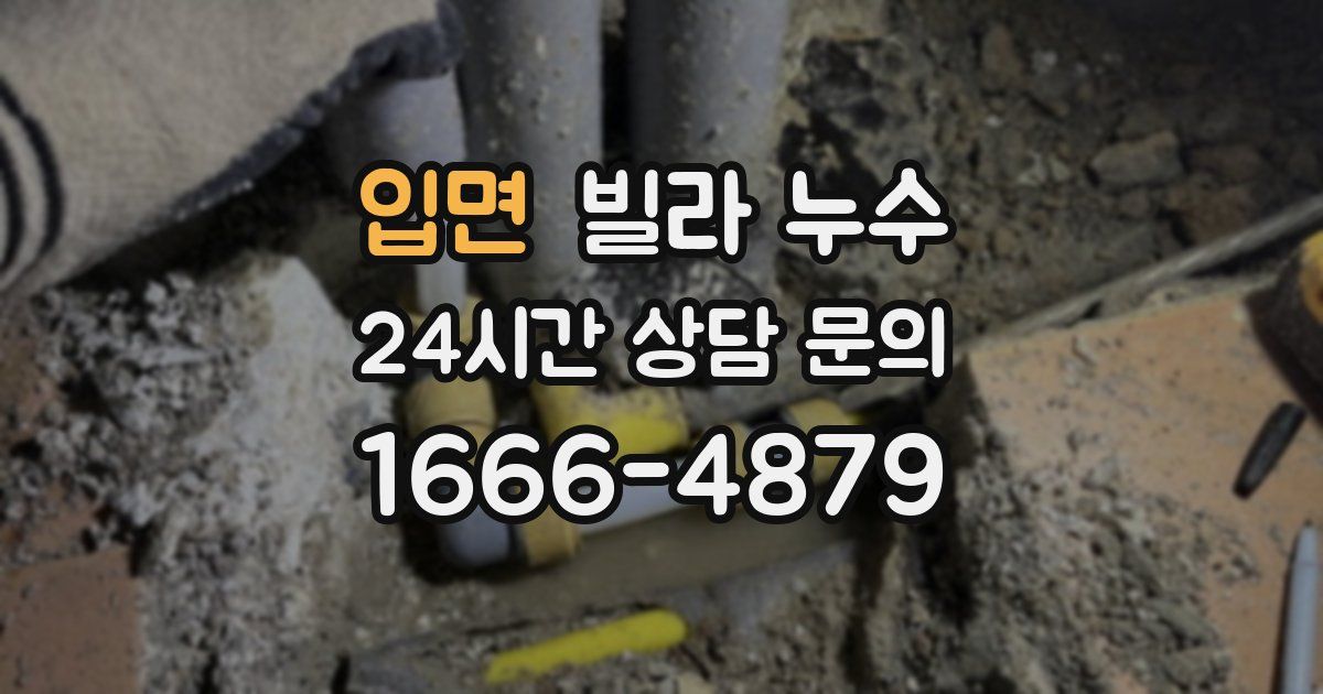 입면 빌라 누수