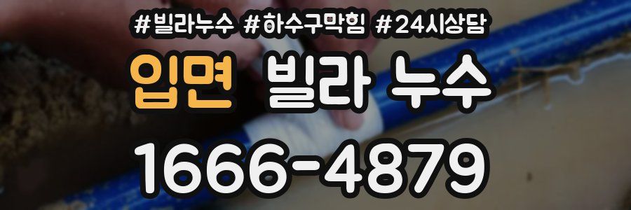 입면 빌라 누수