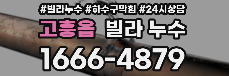 고흥읍 빌라 누수