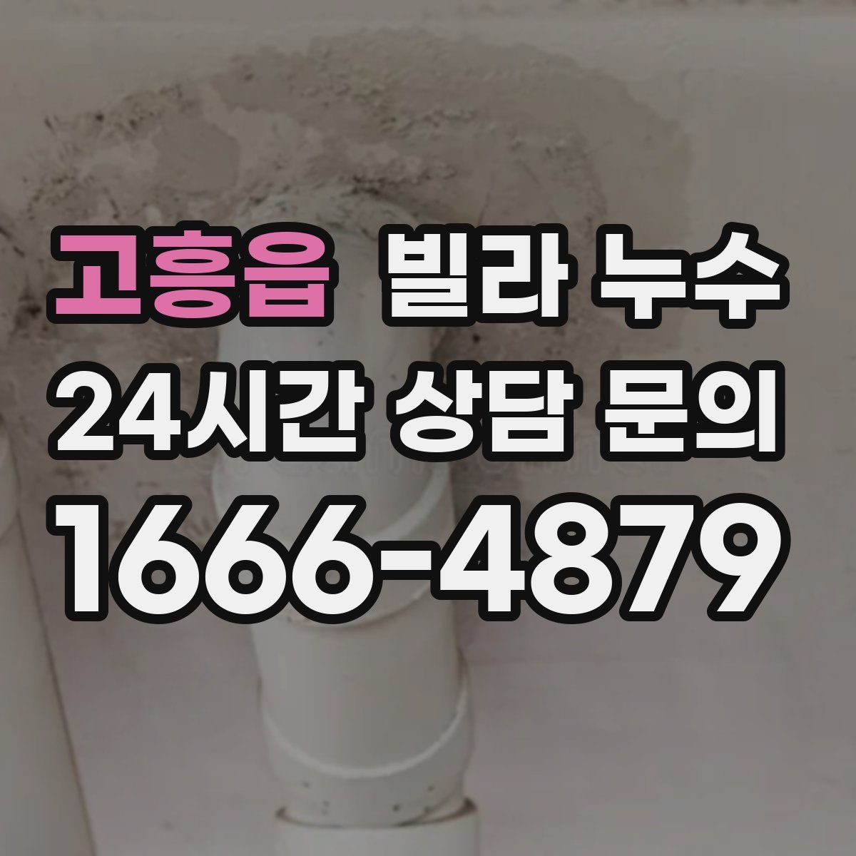 고흥읍 빌라 누수