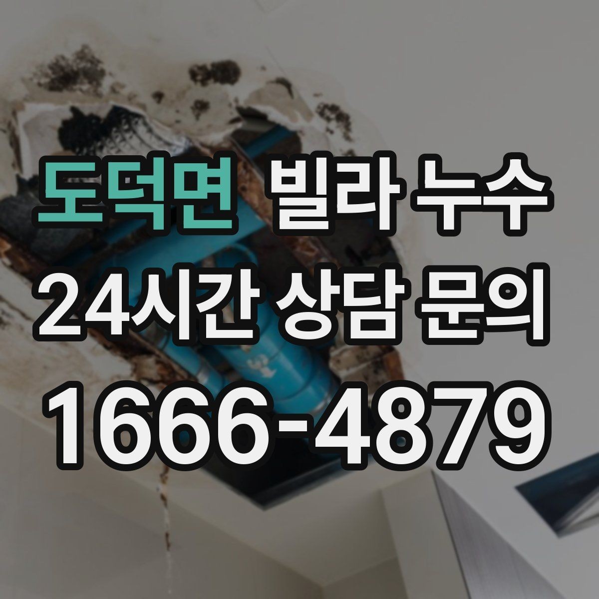 도덕면 빌라 누수 도배만 다시 하면 재발하는 이유