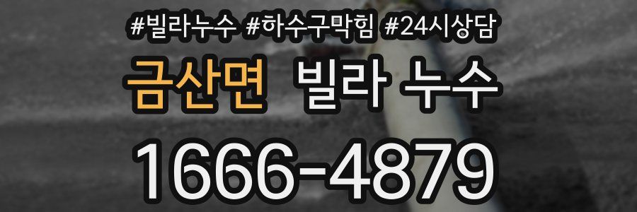 금산면 빌라 누수