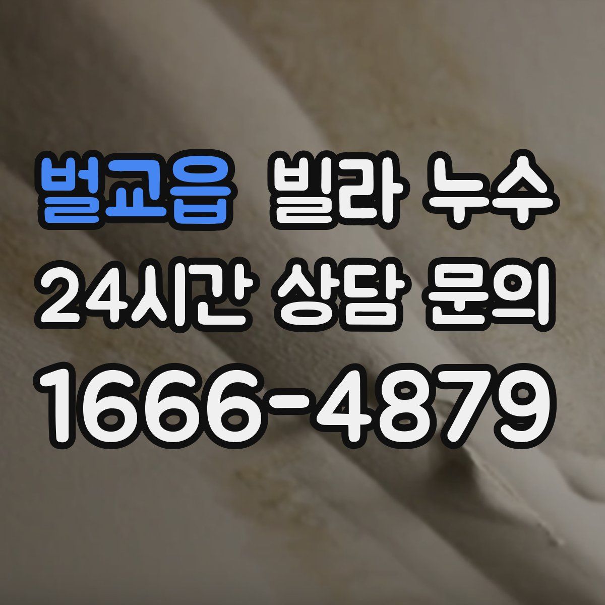 벌교읍 빌라 누수