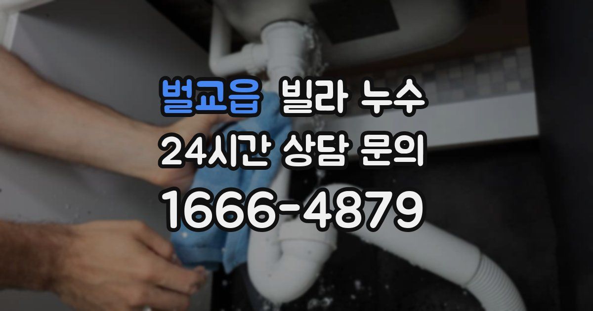 벌교읍 빌라 누수