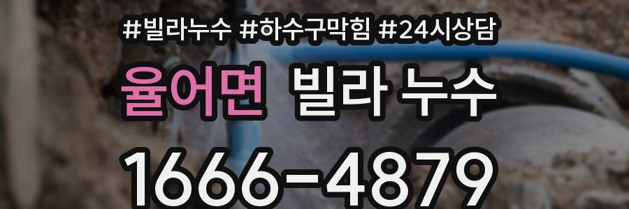 율어면 빌라 누수