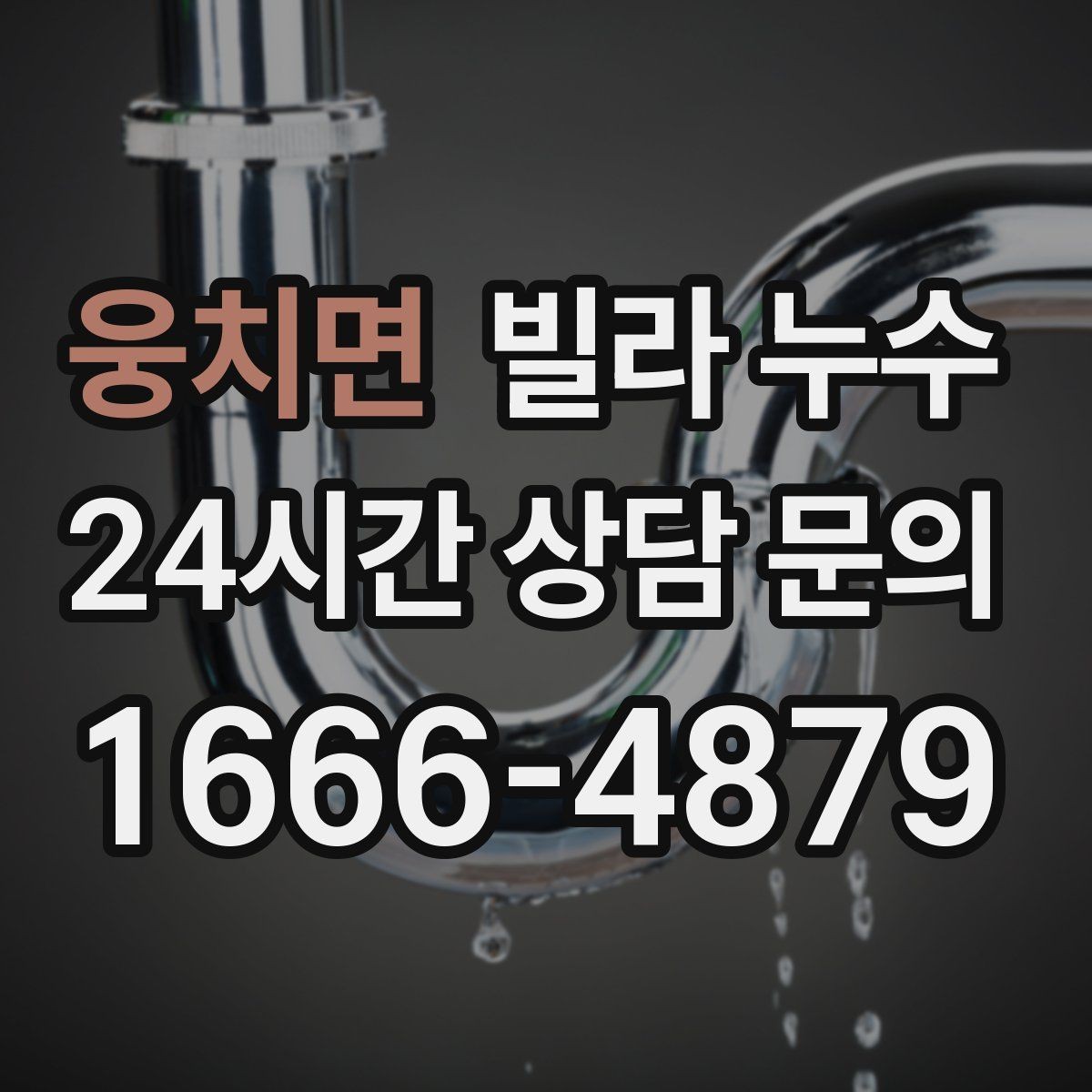 웅치면 빌라 누수 주방 쪽 벽이 젖는다면 배관 가능성