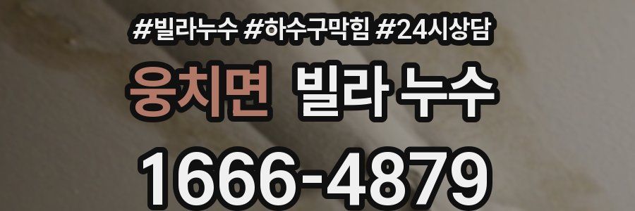 웅치면 빌라 누수